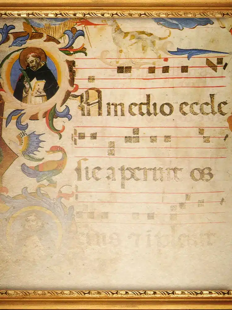 05 - fa6d9f57-e39b-4791-b033-a2aaede6a5fd_medium